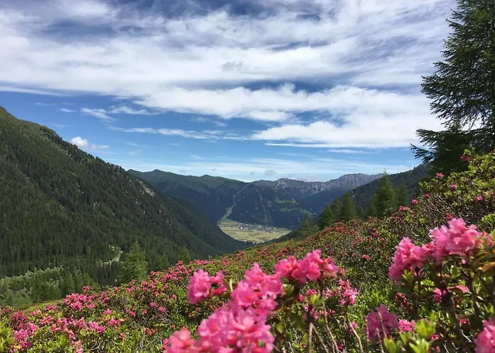 Διαμέρισμα Apartments Annewanter *